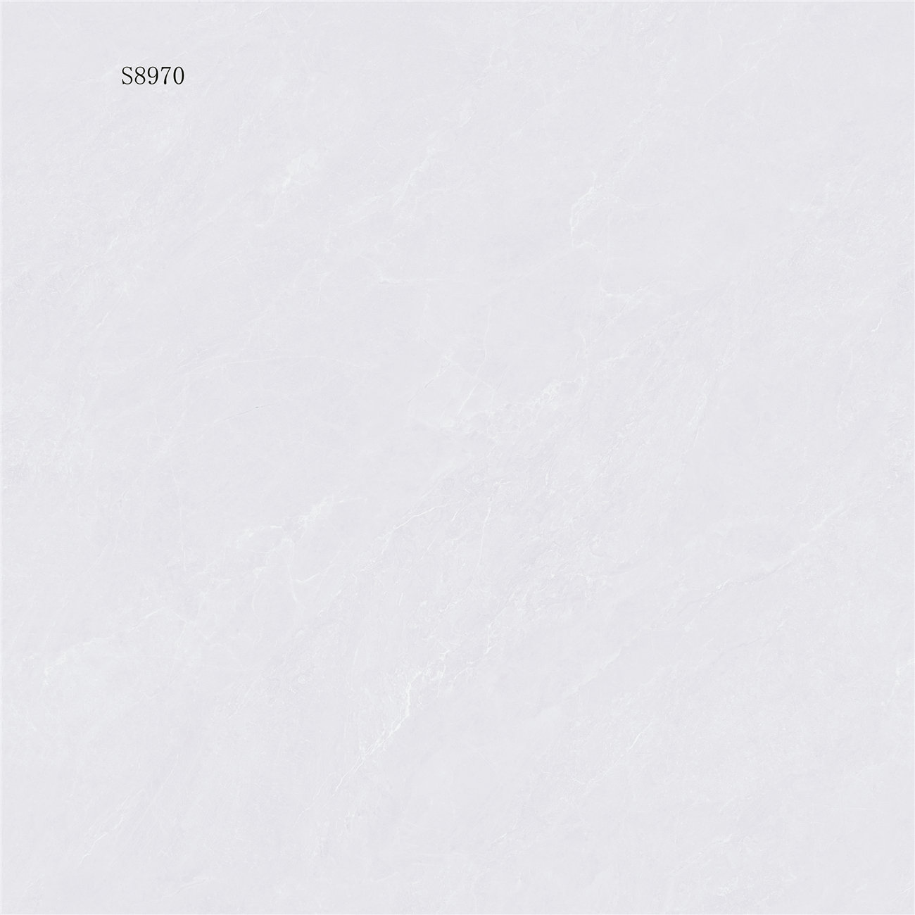 S8970