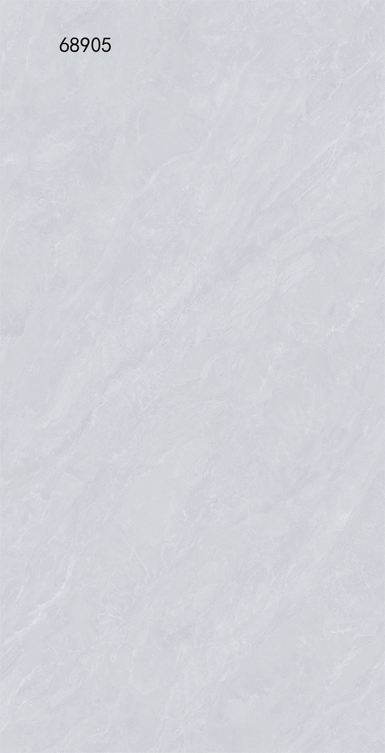 68905