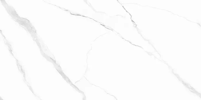 16703